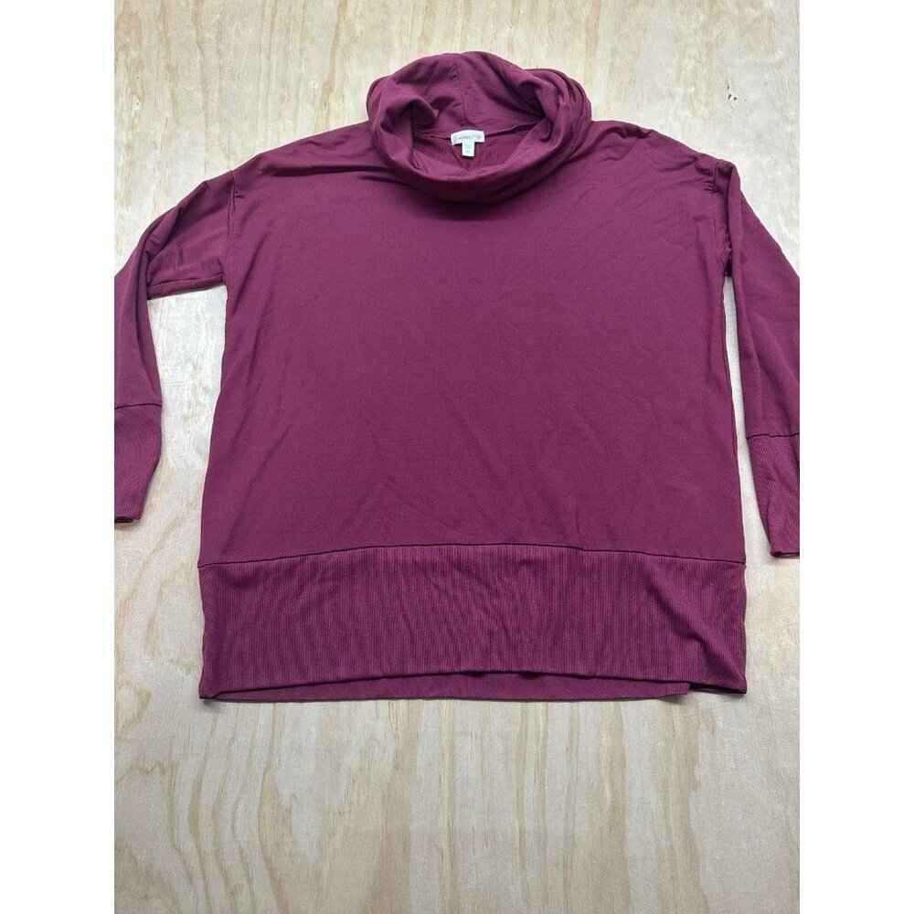 Garnet Hill Women's Tunic Top Sweater Cowl Neck Long Sleeve Oversized XS Tencel